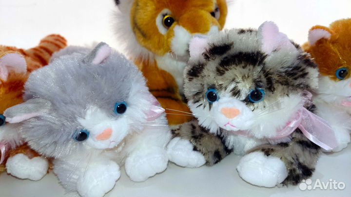 Котёнок мяукает