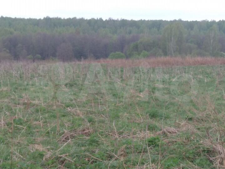 Участок 4,6 га (СНТ, ДНП)