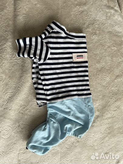 Комбинезон для собаки