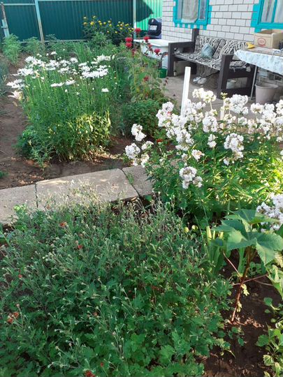 Дача 40 м² на участке 4 сот.