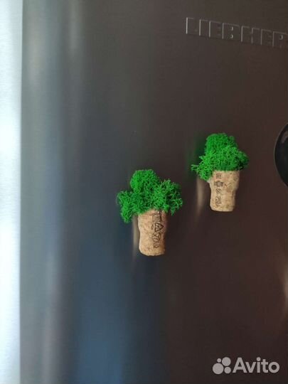 Сувениры. Магнит на холодильник