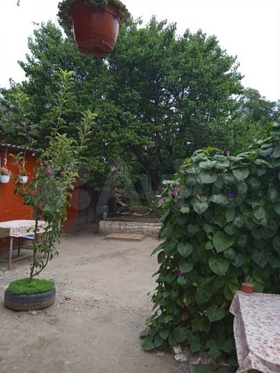 Дом 47 м² на участке 4 сот.