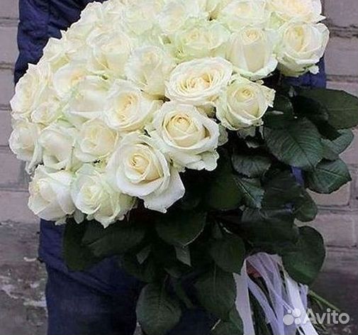 Высокие Розы Гиганты Доставка Круглосуточно