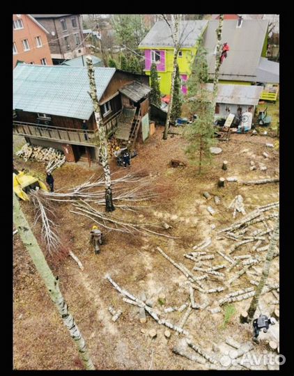 Спил и удаление деревьев расчистка участков