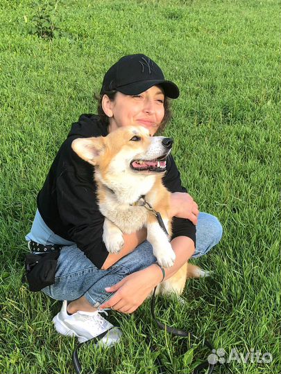 Кинолог. догтренер. Дрессировка собак. Выгул