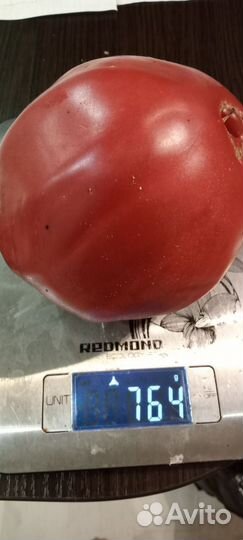 Семена томатов