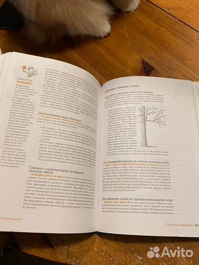 Дело пяти минут Ридерз Дайджест