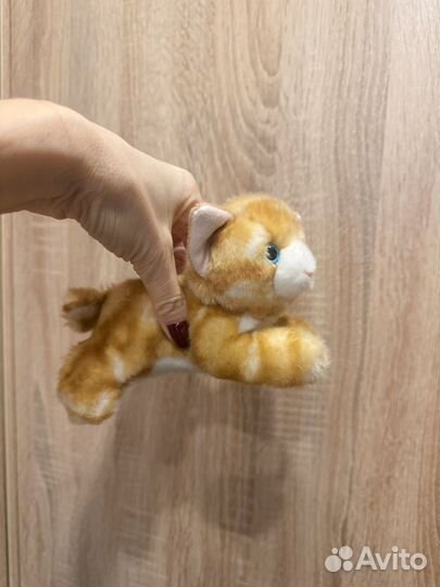 Мягкая игрушка котенок рыжий