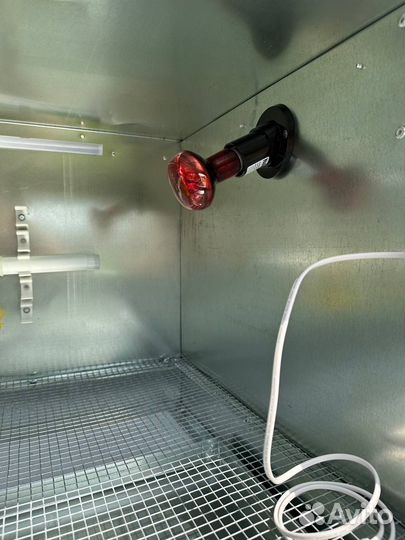 Брудер для цыплят