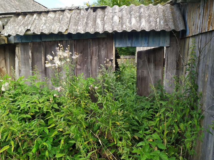 Дача 50 м² на участке 50 сот.