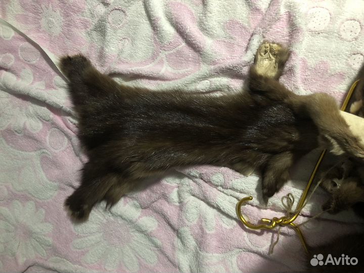 Шкурка животного