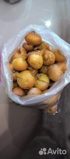 Лук и чеснок