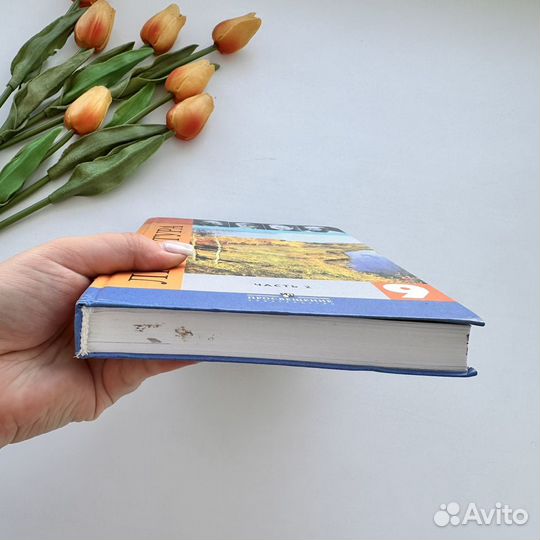 Литература 9 класс 2 часть 2011 Коровина