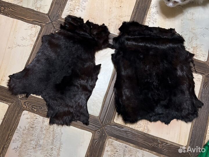 Сурок шкуры сырье