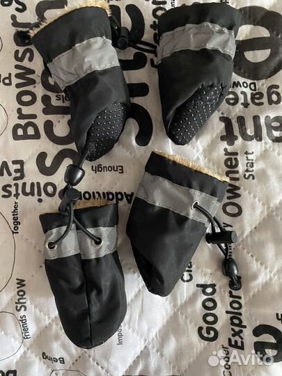 Обувь для собак