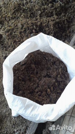 Конский навоз