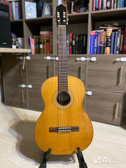 Strunal (Cremona) 977