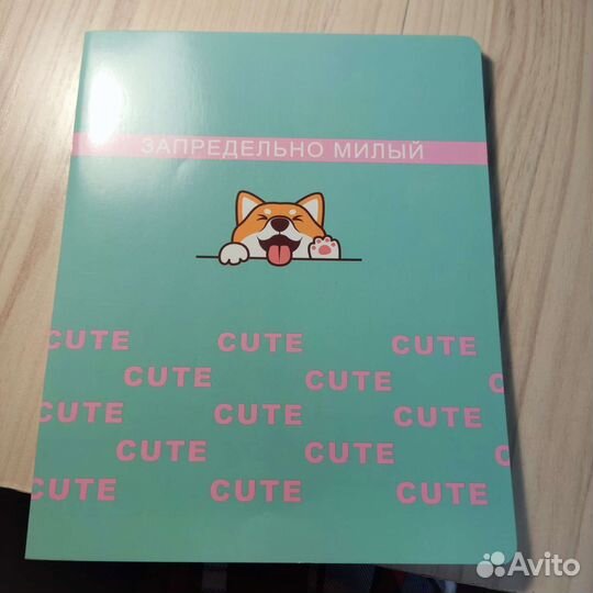 Тетради, блокноты