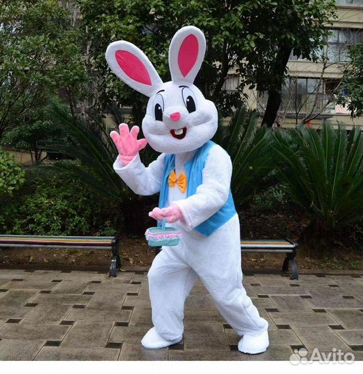 Аниматоры на день рождения