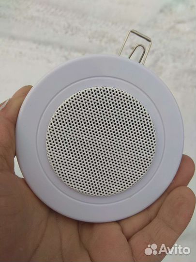 Громкоговоритель Roxton