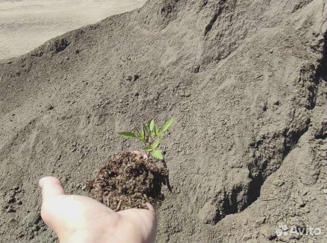 Коровий перегной в мешках объемом 25 л