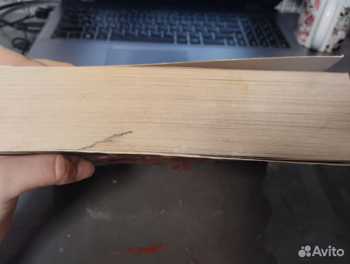 Книга Свита короля. Все ради игры