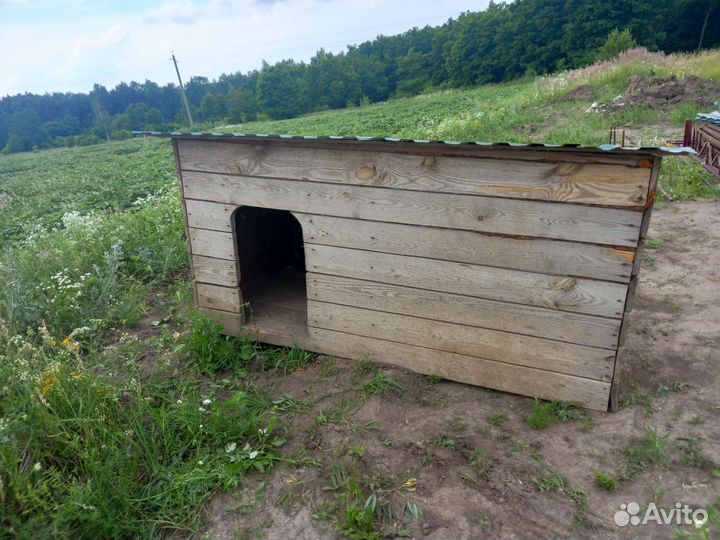 Будка для большой собаки