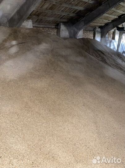 Продам овёс