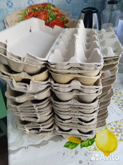 Лотки для яиц