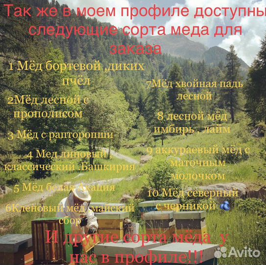 Падевый мёд