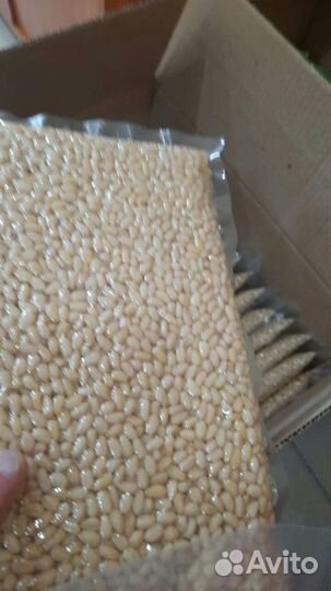 Ядро кедрового ореха 2023