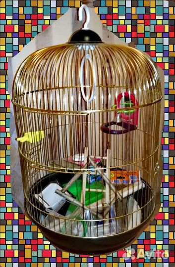 Новая клетка золотая для попугая