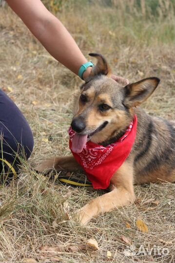 Страх в глазах и одиночество