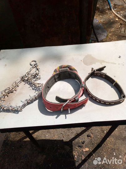 Строгий ошейник для собак