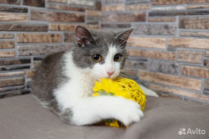 Родику нужна Мама и забота