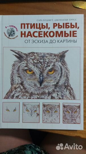 Книга для начинающих художников