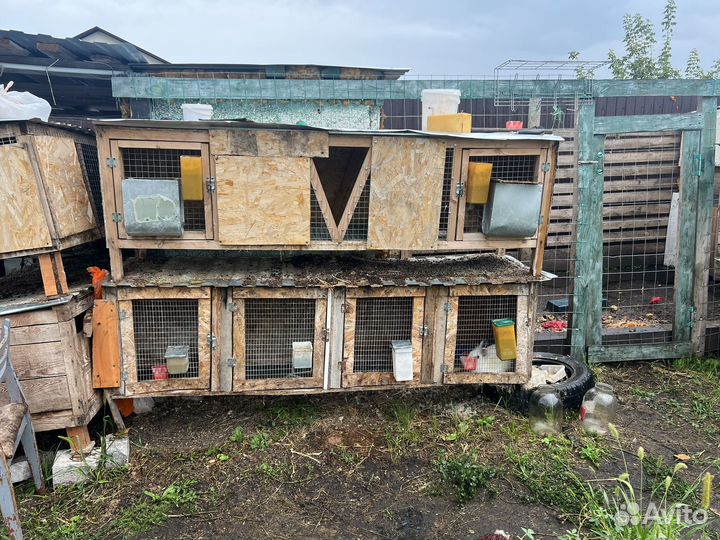 Клетки для кроликов бу