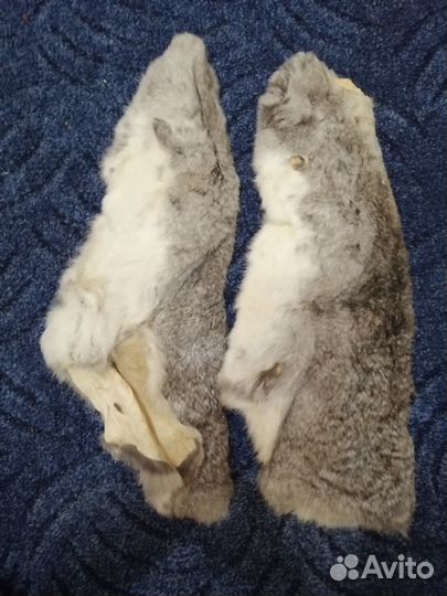 Шкурки кролика - зайца) овцы и. неизвестный зверь)