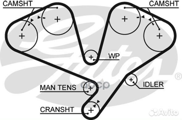 5353XS 77257х32 Ремень грм 5353XS Gates