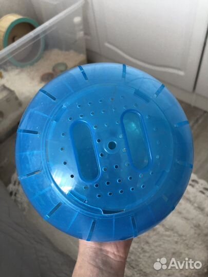 Беговой шар для грызунов