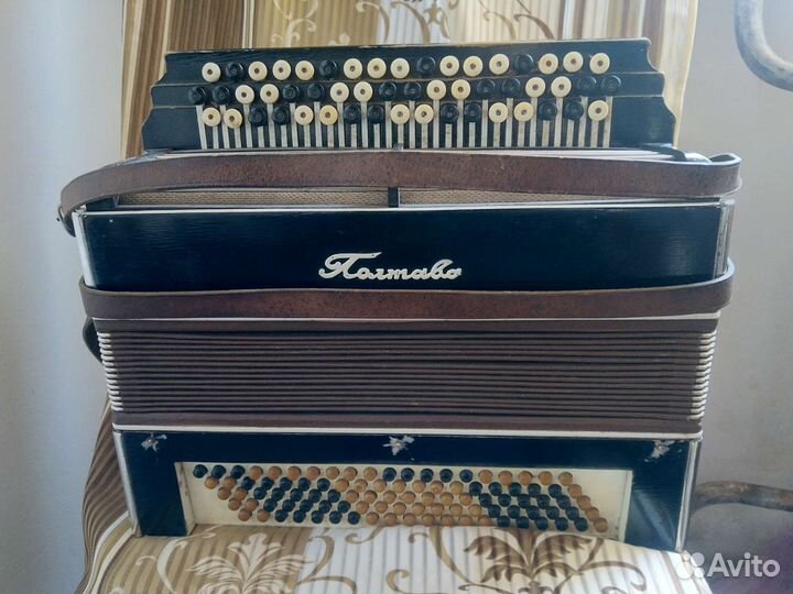 Полтава Баян