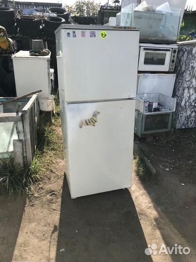 Холодильник Бирюса