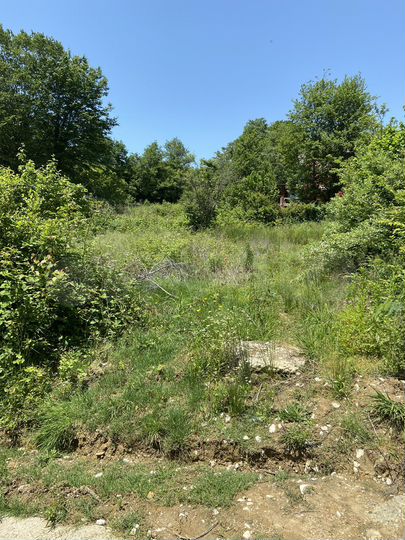 Участок 5,2 сот. (СНТ, ДНП)