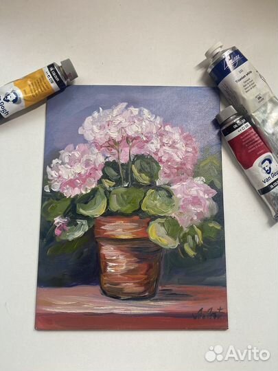 Картина маслом герань цветы натюрморт