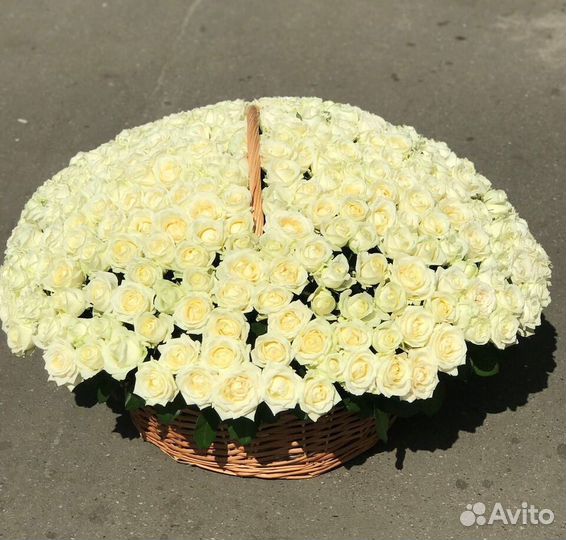 Розы Доставка цветов 35 51 101 роза Цветы