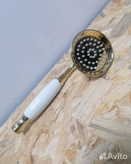 Шланг с лейкой для душа Золотой Ganzer Германия