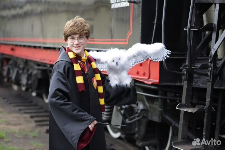 Квест Гарри поттер Москва и мо выпускной