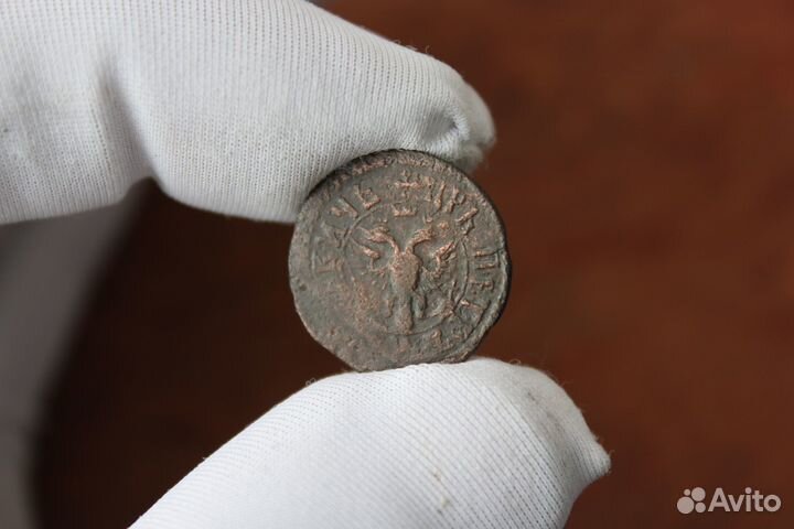 Полушка 1705 год Петр 1 R в Твери