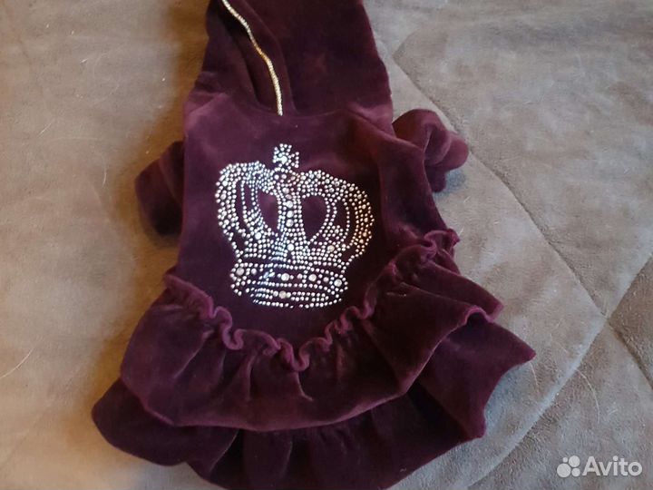 Дождевик для маленькой собаки