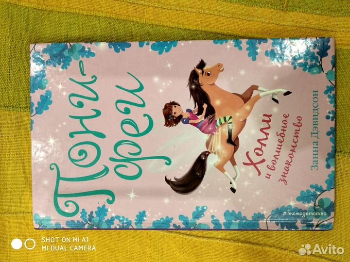 Книга Пони-феи Занна Давидсон